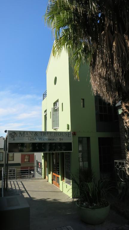 Apartment Man And Tree House *